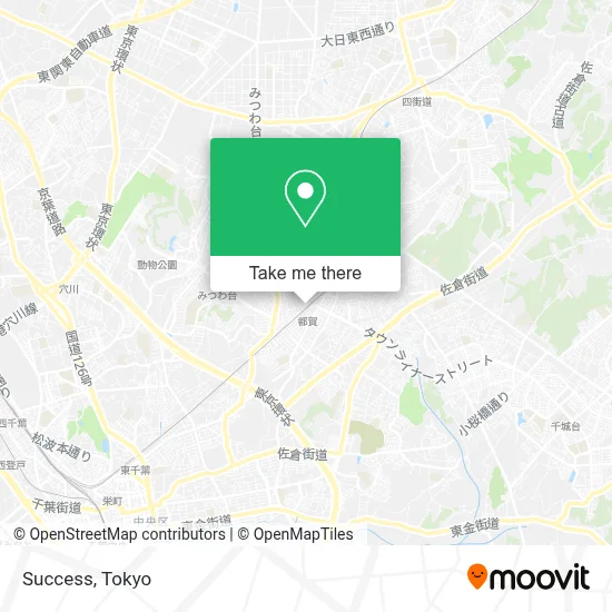 Success map