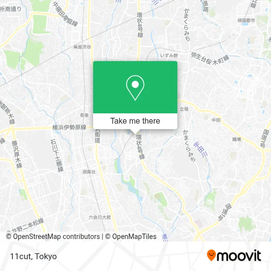 11cut map