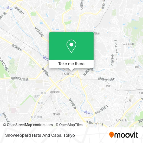 Snowleopard Hats And Caps map