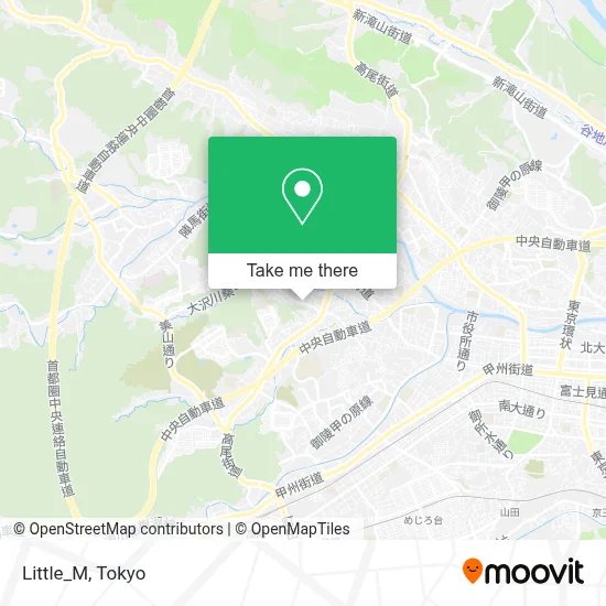 Little_M map
