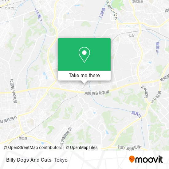 Billy Dogs And Cats map