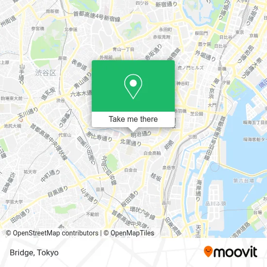 Bridge map