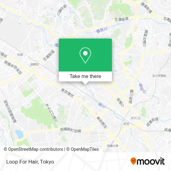 Loop For Hair map