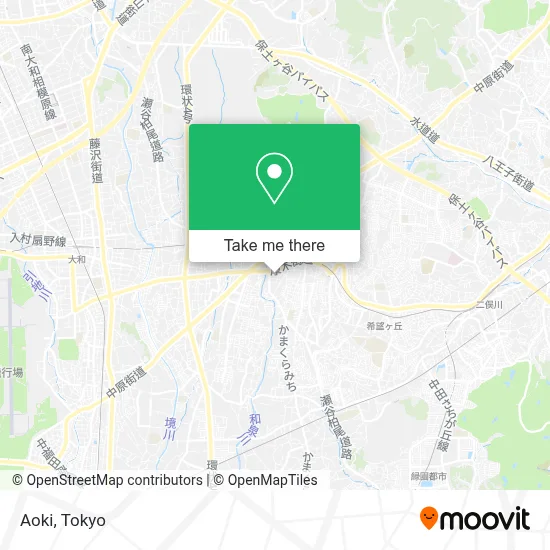 Aoki map
