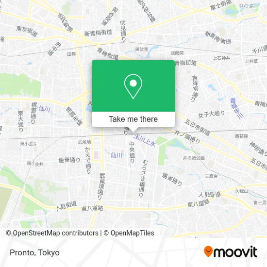 Pronto map