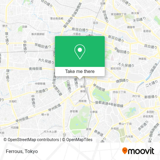 Ferrous map
