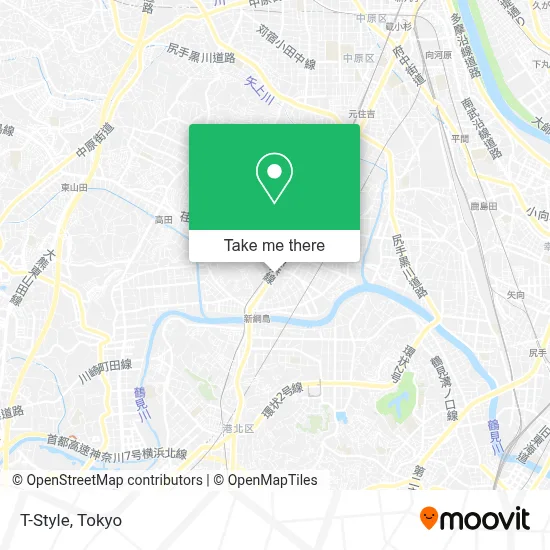 T-Style map