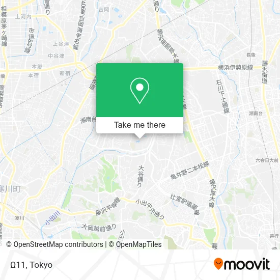 Ω11 map