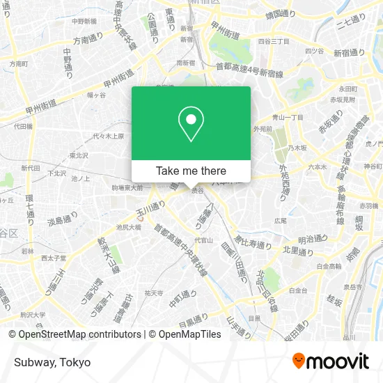 Subway map