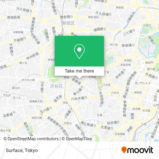 Surface map
