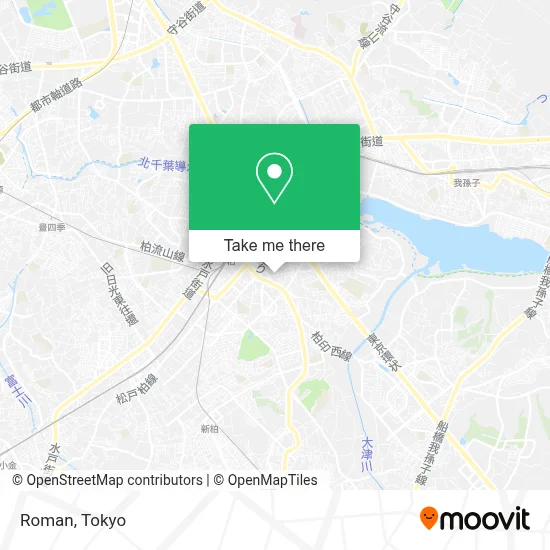 Roman map