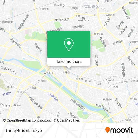 Trinity-Bridal map