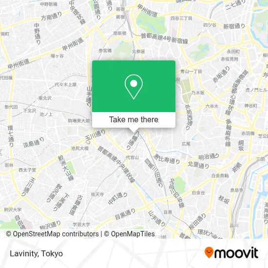 Lavinity map