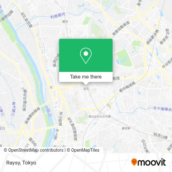 Raysy map