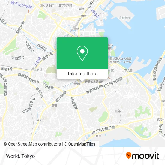 World map