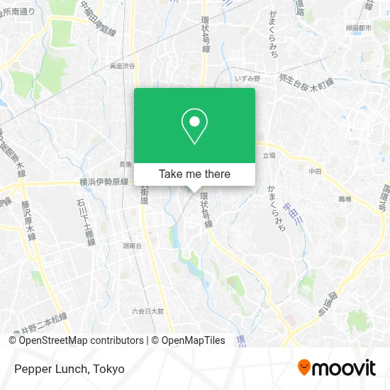 Pepper Lunch map