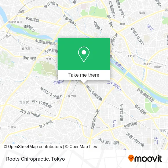Roots Chiropractic map