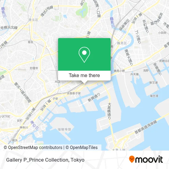 Gallery P_Prince Collection map