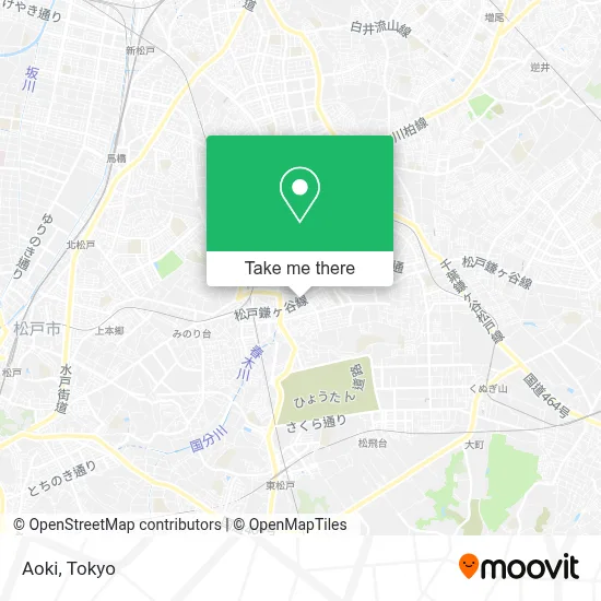 Aoki map