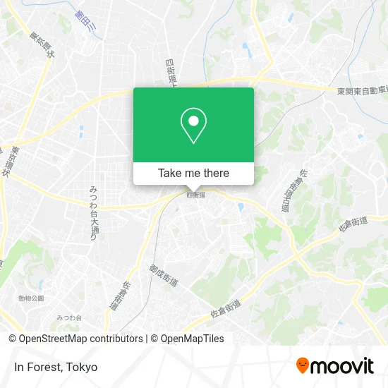 In Forest map