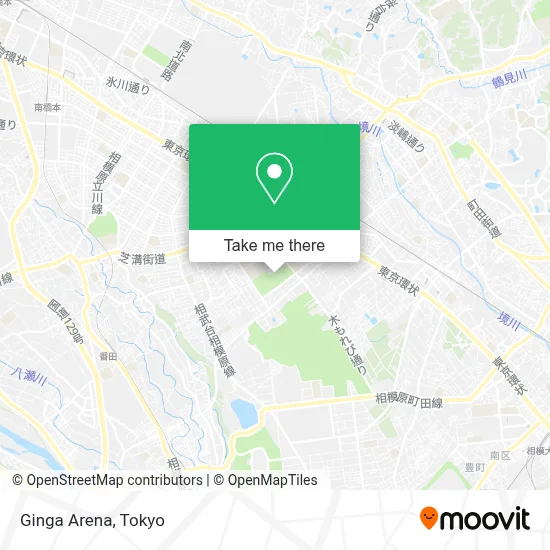 Ginga Arena map