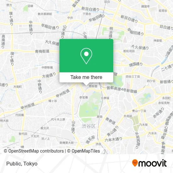 Public map