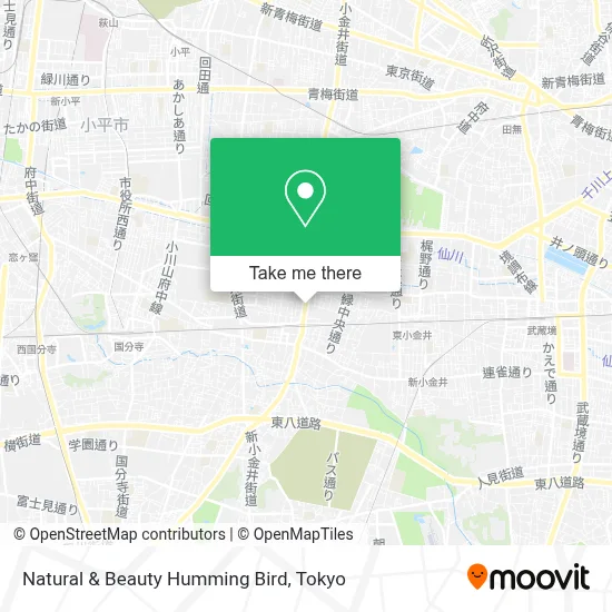 Natural & Beauty Humming Bird map