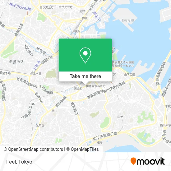 Feel map