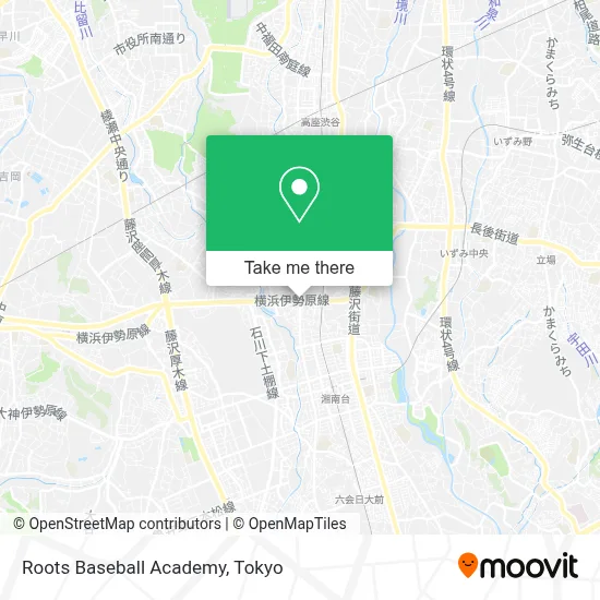 Roots Baseball Academy map