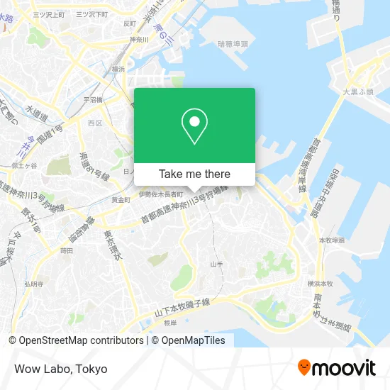 Wow Labo map