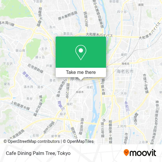 Cafe Dining Palm Tree map