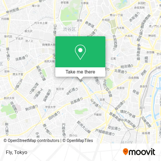 Fly map