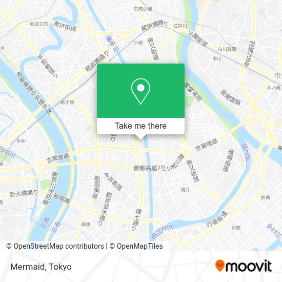 Mermaid map