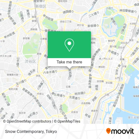 Snow Contemporary map