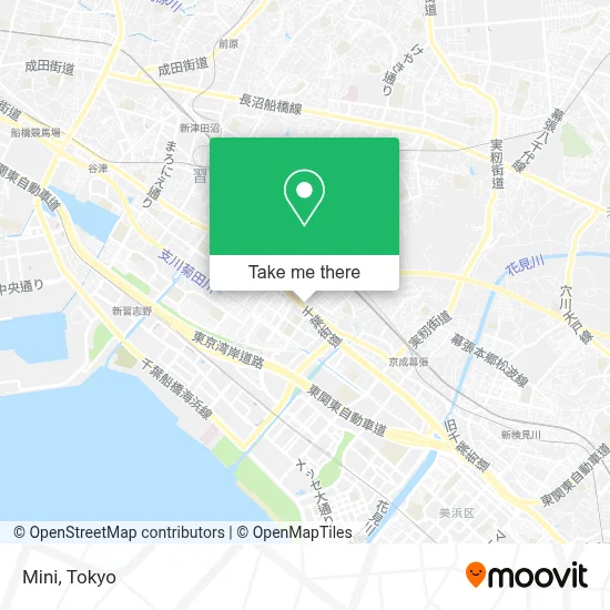 Mini map