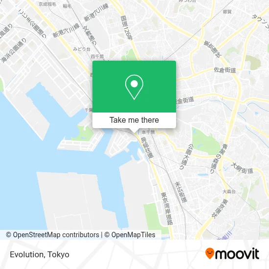 Evolution map