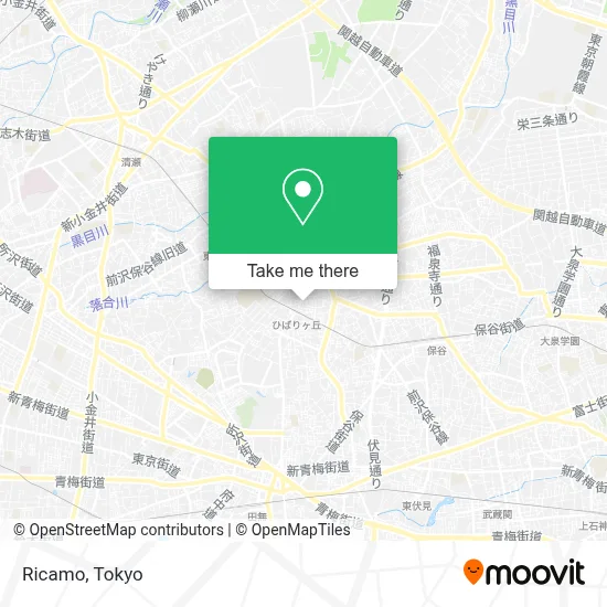 Ricamo map