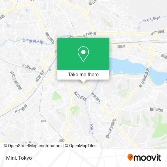Mini map