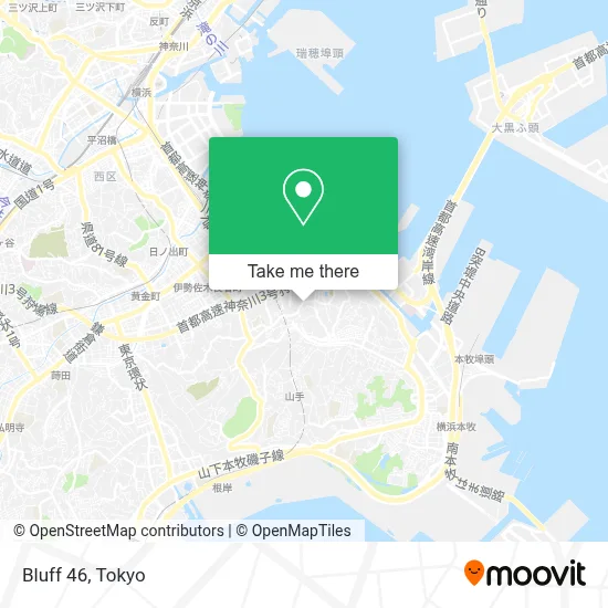 Bluff 46 map