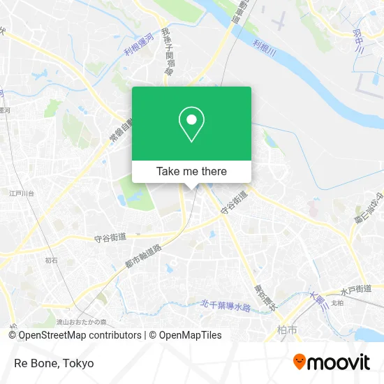 Re Bone map