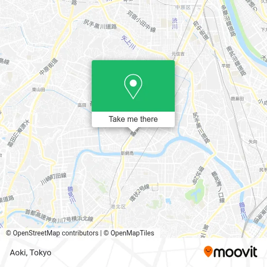 Aoki map