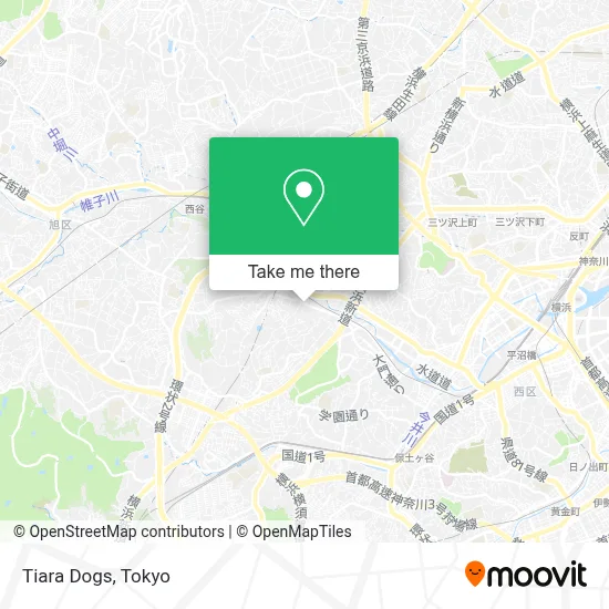 Tiara Dogs map