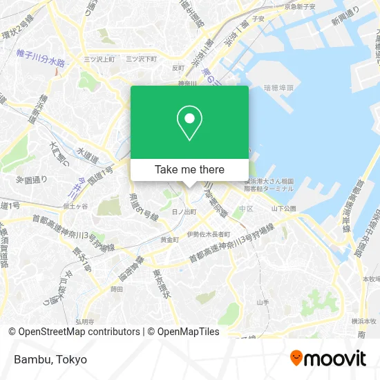 Bambu map