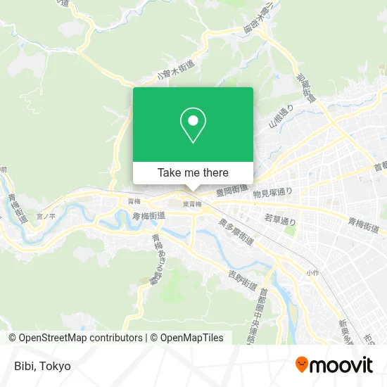 Bibi map