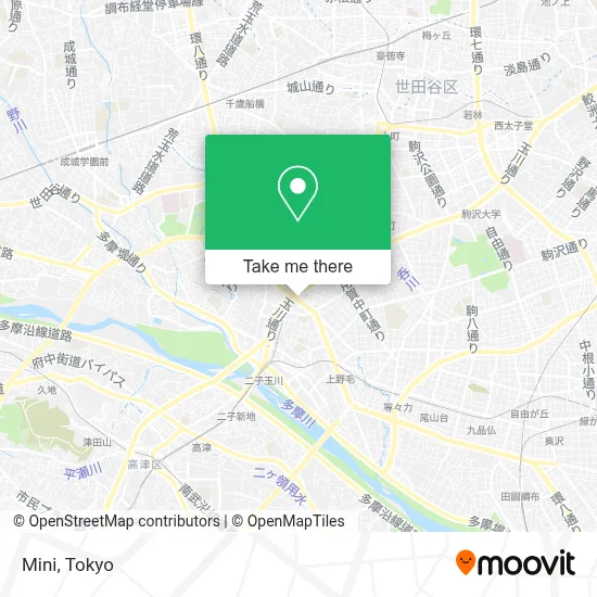 Mini map