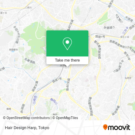 Hair Design Harp map