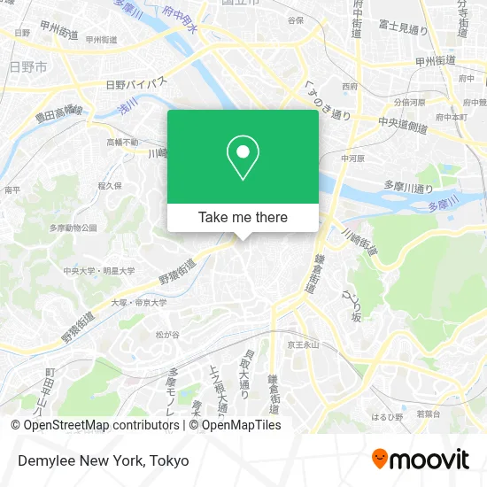 Demylee New York map