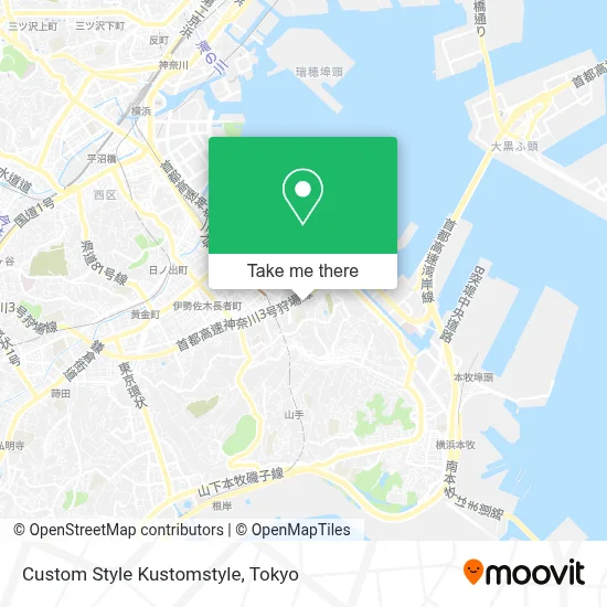 Custom Style Kustomstyle map