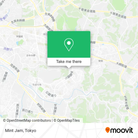 Mint Jam map