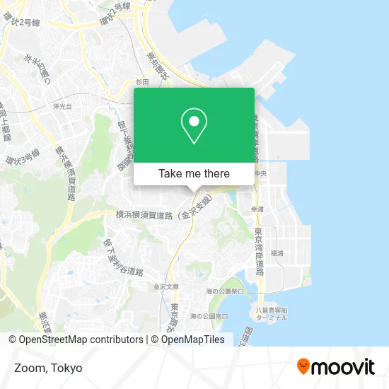Zoom map